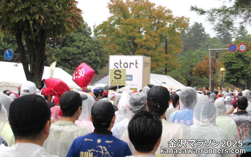 ����}���\��