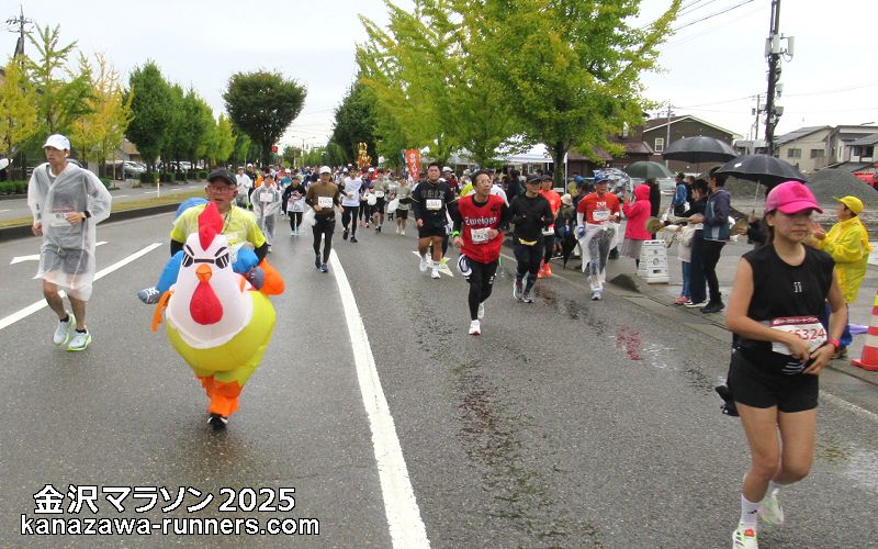 ����}���\��