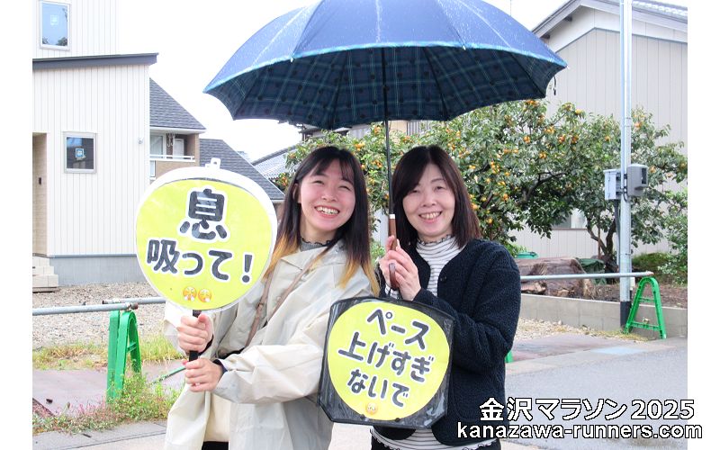 ����}���\��