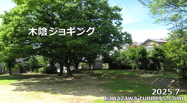 ���M���͖؉A�W���M���O