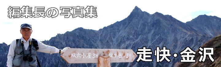 �ҏW���̃}���\���ʐ^�W